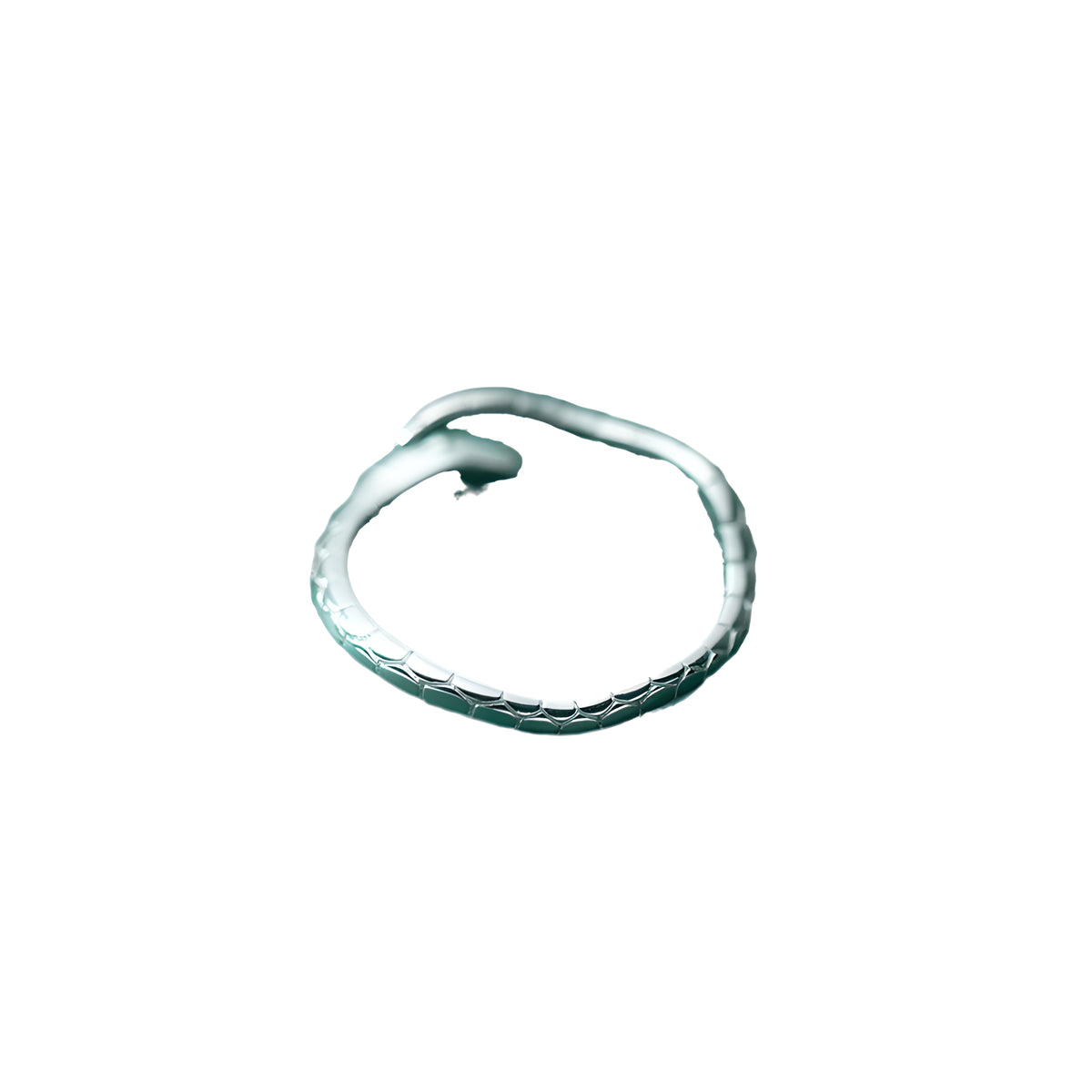 Simple Snake S925 Sterling Silver Adjustable Ring
